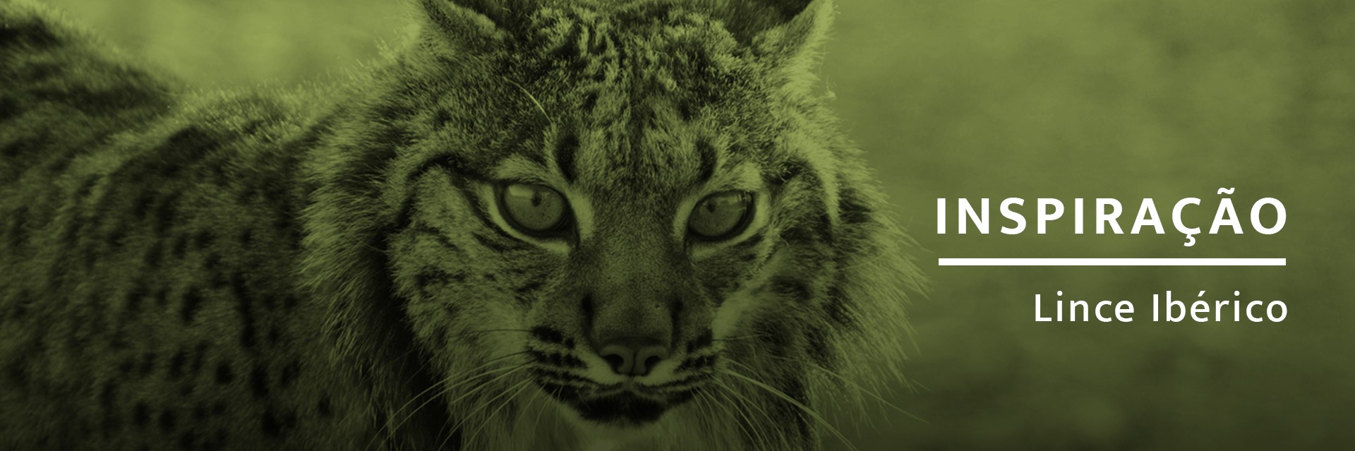 Utilize para ver mais