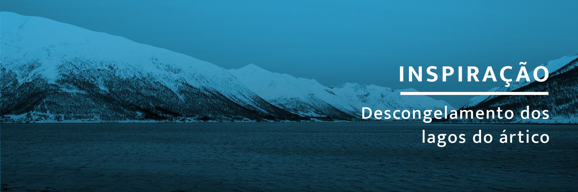 Utilize para ver mais